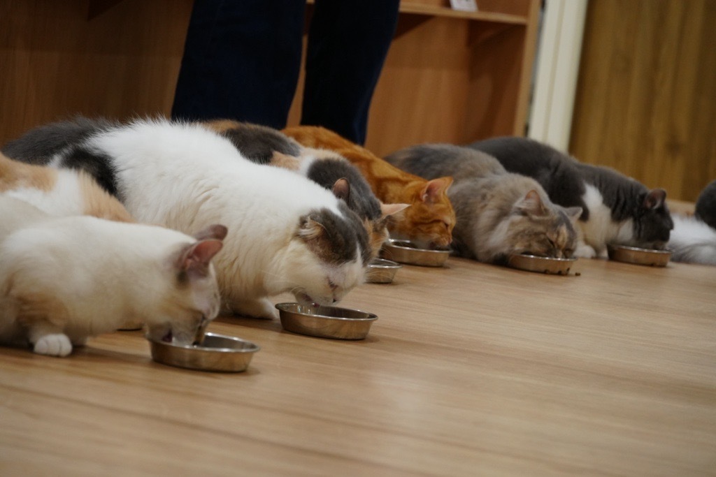 ★『ごはんタイム』開催中★