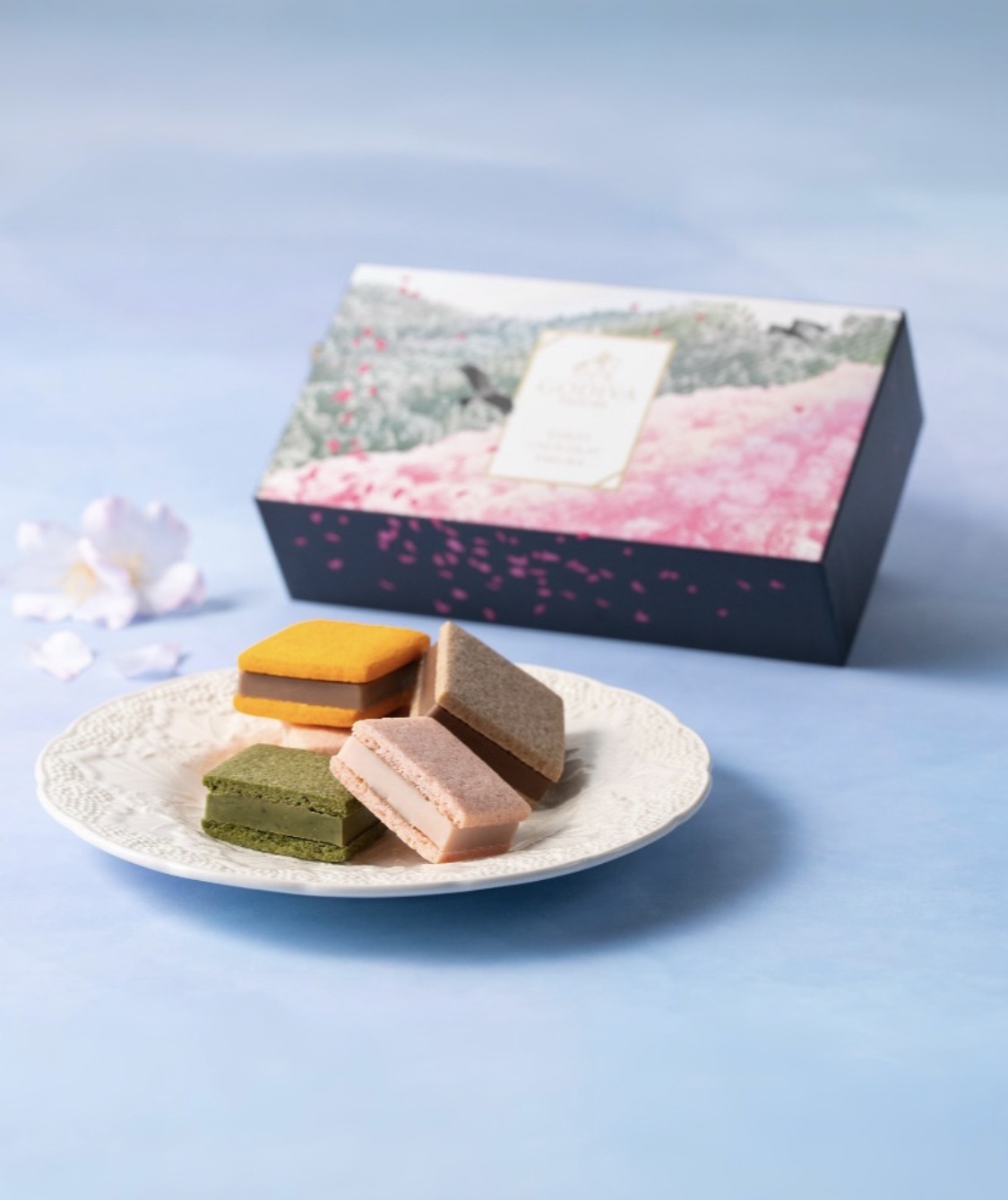 サブレショコラ 桜 アソートメント
